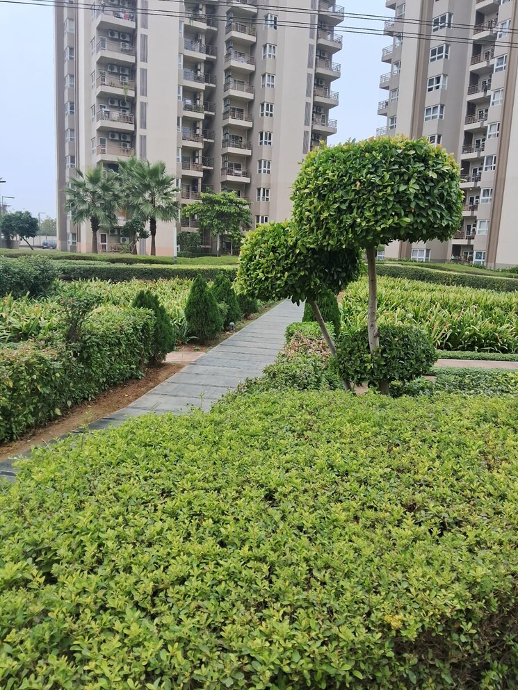 Garden, adani-m2k-oyster-grande 3 Bedroom 1889 Sq.Ft. Apartment In Sector 102 Gurgaon 8827363
