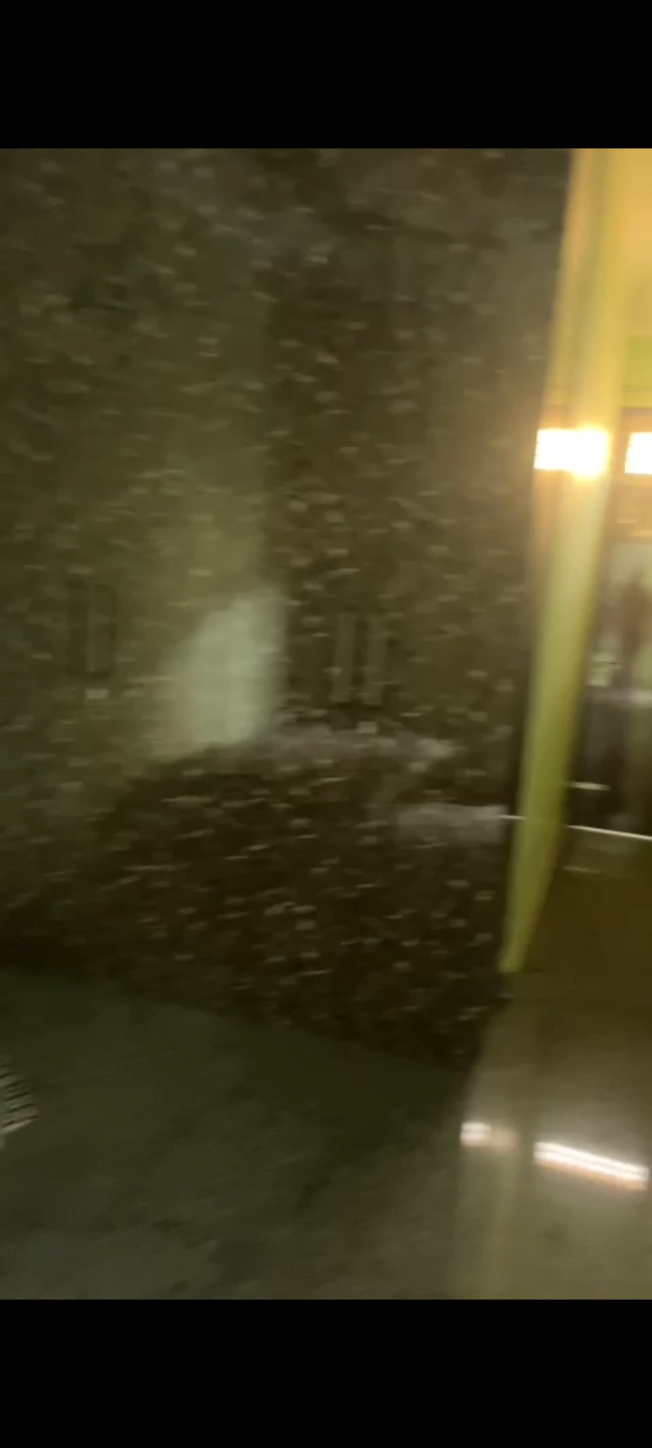 1 BHK Independent House For Rent in Gnida