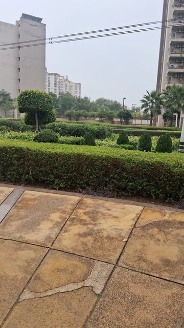 Plot Area in 4 BHK Apartment at Adani M2K Oyster Grande, Sector 102 – for Rent