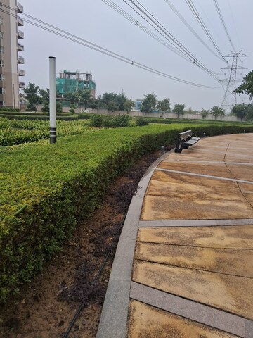 Plot Area in 4 BHK Apartment at Adani M2K Oyster Grande, Sector 102 – for Rent