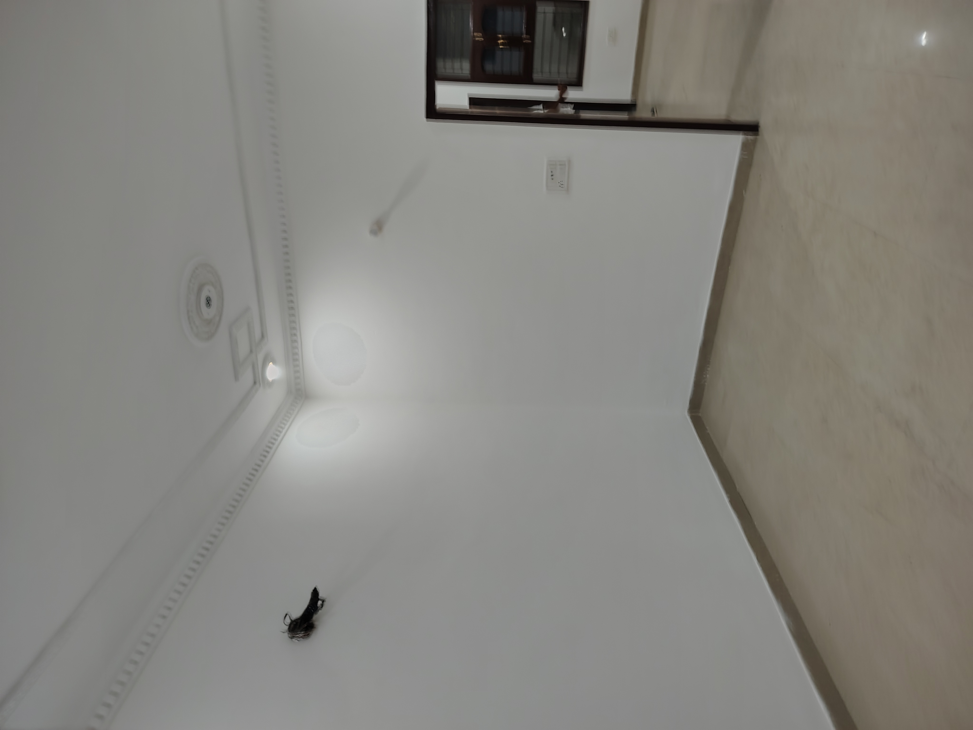 2 BHK + Pooja Room Builder Floor For Sale in Swami Enclave