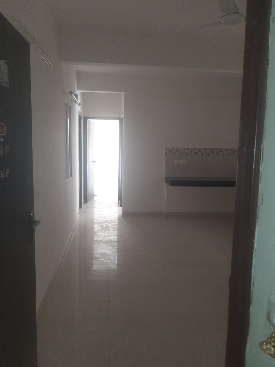 2 BHK Apartment For Sale in Signature Global Orchard Avenue