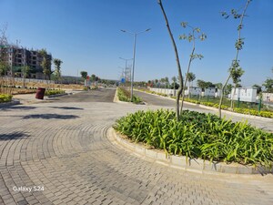  Plot For Sale in Sohna