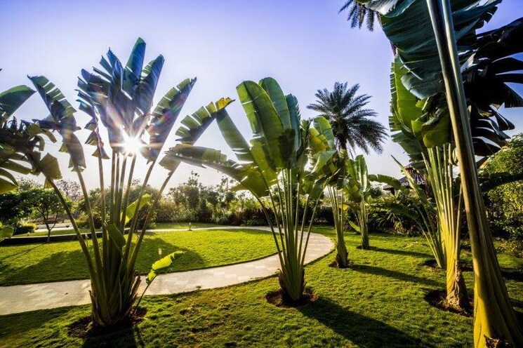 Garden, jashnani-chintamani-habitat 3.5 Bedroom 396 Sq.Ft. Apartment In Shahapur Thane 8827860