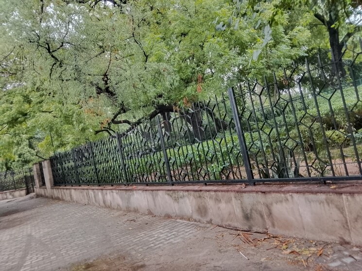 Garden, safdarjung development area 3 Bedroom 200 Sq.Yd. Builder Floor In Safdarjung Development Area Delhi 8827932