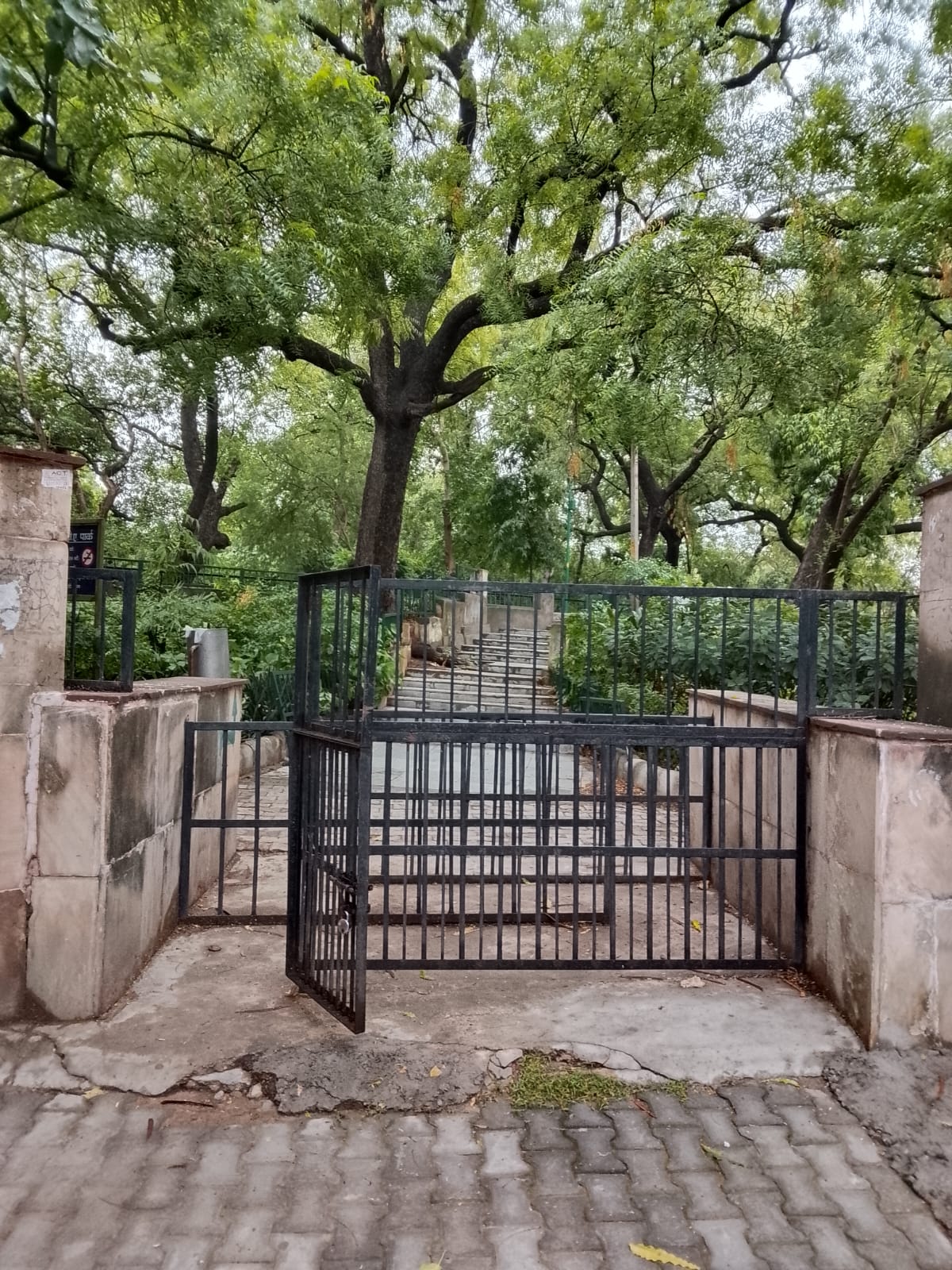 3 BHK + Servant Room Builder Floor For Rent in Safdarjung Development Area