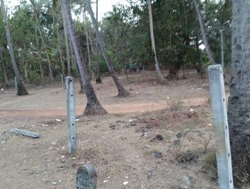  Plot For Sale in Benaulim