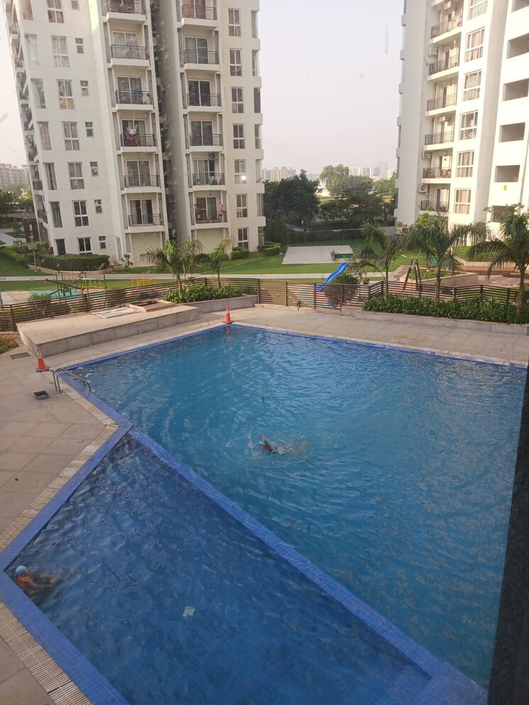 Swimming Pool, vatika-seven-lamps 2 Bedroom 1428 Sq.Ft. Apartment In Sector 82 Gurgaon 8828386