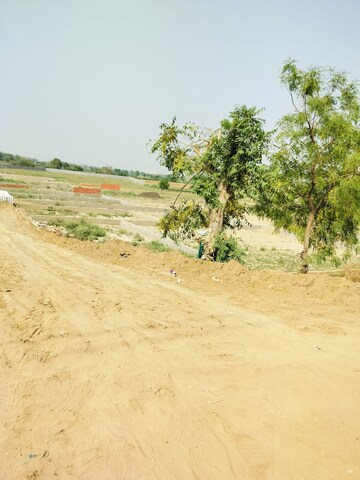 Plot Area in  Plot at Atmadpur Village – for Sale