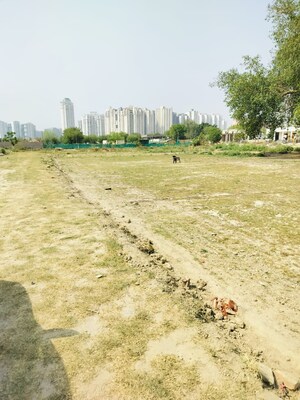 Plot Area in  Plot at Badraula Village – for Sale