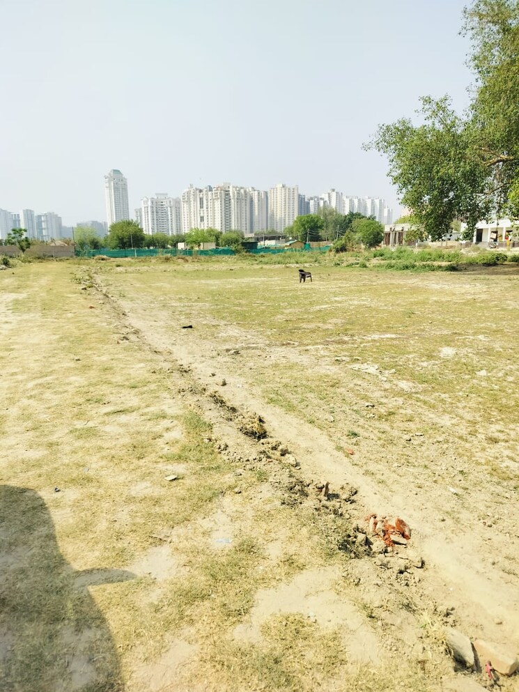 undefined, badraula village  600 Sq.Yd. Plot In Badraula Village Faridabad 8828356