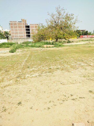 Plot Area in  Plot at Badraula Village – for Sale
