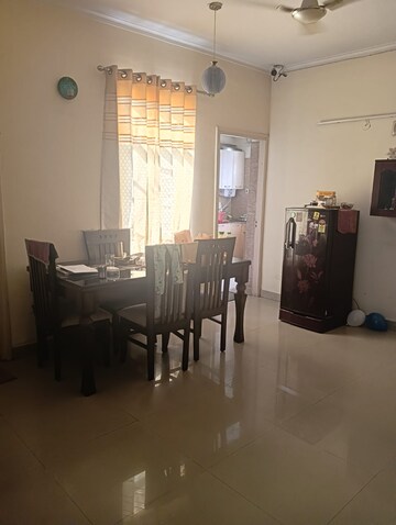 Living Room in 3 BHK Builder Floor at Orchid Island, Sector 51 – for Rent