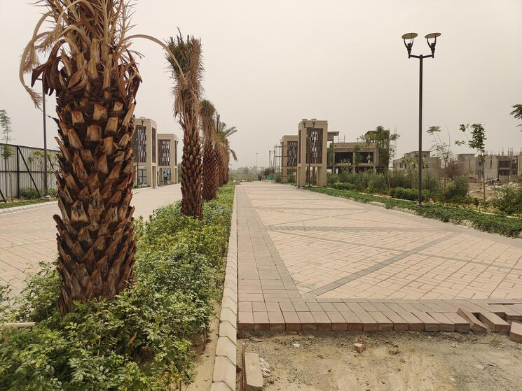 Exterior View, sector 33  141 Sq.Yd. Plot In Sector 33 Sonipat 8828493