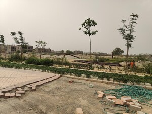 Plot Area in  Plot at Sector 33 – for Sale