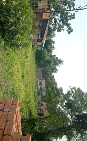  Plot For Sale in Pandua