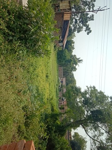  Plot – Garden View at Pandua - for Sale