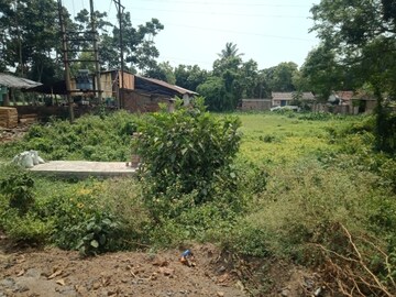 Plot Area in  Plot at Pandua – for Sale