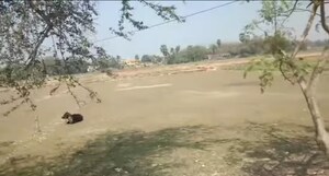  Plot For Sale in Pandua