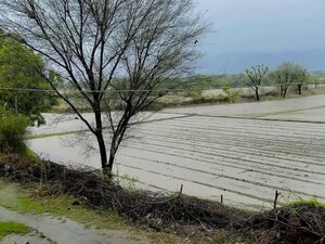  Plot For Sale in Shree Balaji City 1, Renwal Manji