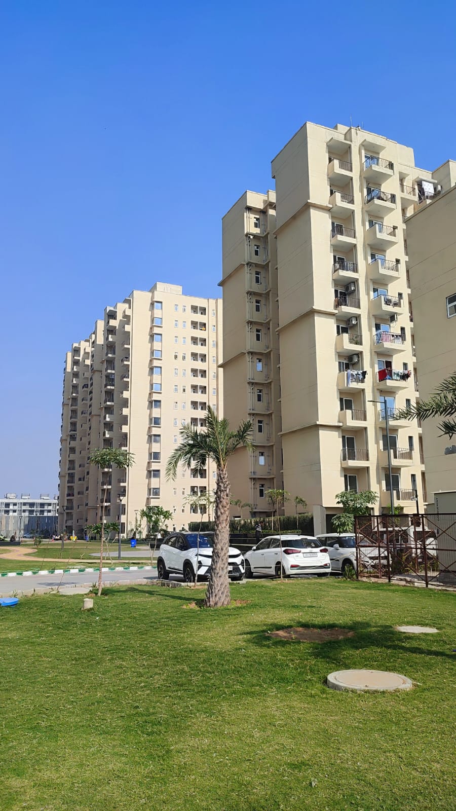 3 BHK + Extra Room Apartment For Sale in Signature Orchard Avenue 2