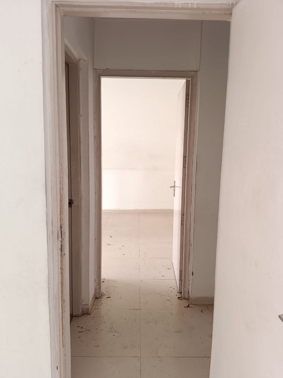 2 BHK + Extra Room 598 Sq.Ft. Apartment in Signature Global Synera