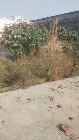 Plot Area in  Plot at Krishnanjali Enclave, Raj Nagar Extension – for Sale