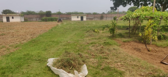 Plot For Sale in Syndicate 