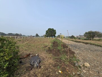  Plot For Sale in Gram Baroli