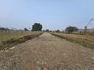 Plot Area in  Plot at Gram Baroli – for Sale