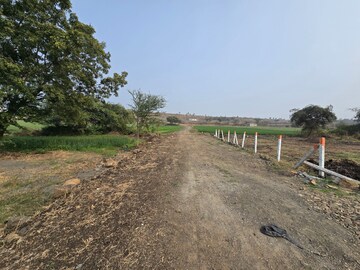 Plot Area in  Plot at Gram Baroli – for Sale
