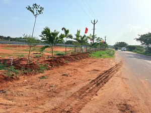 Plot Area in  Plot at Shadnagar – for Sale