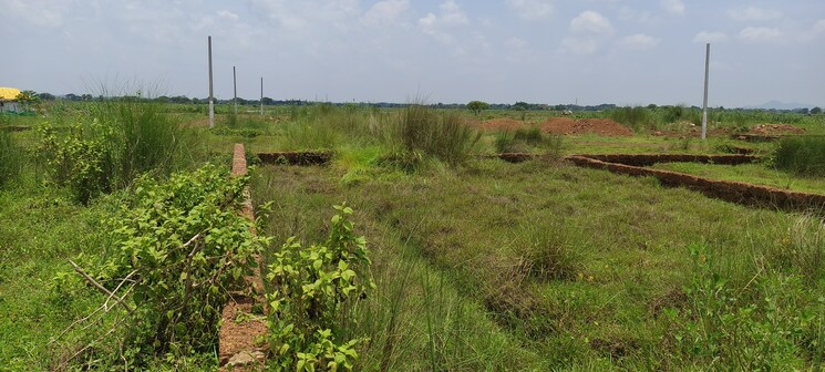 undefined, patrapada  1800 Sq.Ft. Plot In Patrapada Bhubaneswar 8829297