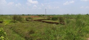 Plot Area in  Plot at Patrapada – for Sale