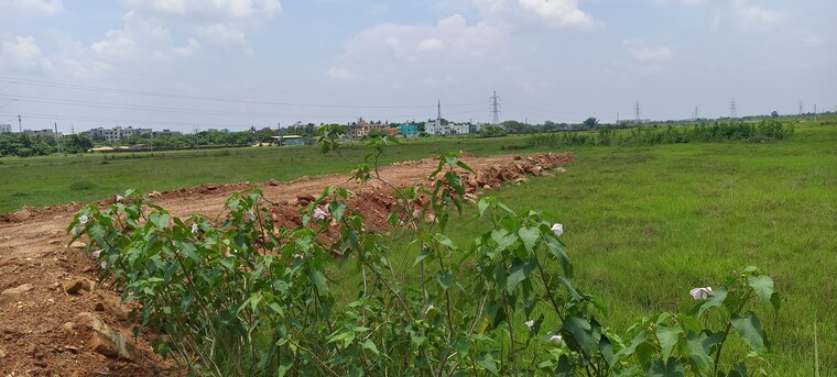 undefined, patrapada  1020 Sq.Ft. Plot In Patrapada Bhubaneswar 8829329