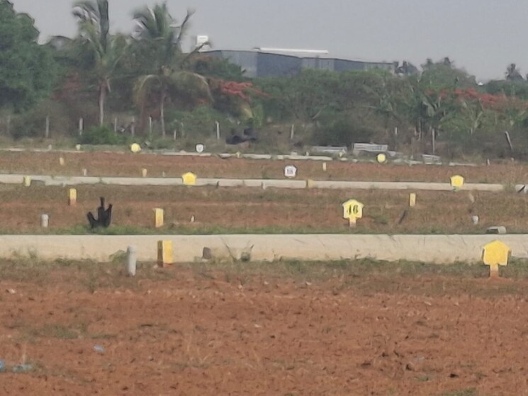 Exterior View, artha-neo-serene  1200 Sq.Ft. Plot In Hoskote Bangalore 8655767