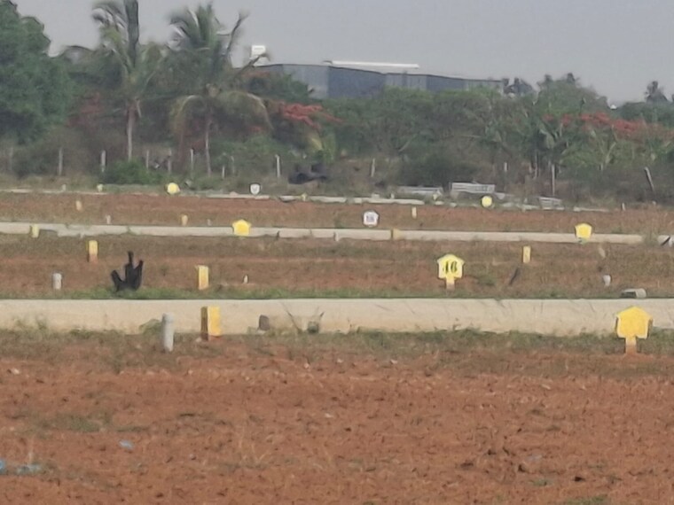 Exterior View, artha-neo-serene  1200 Sq.Ft. Plot In Hoskote Bangalore 8655767