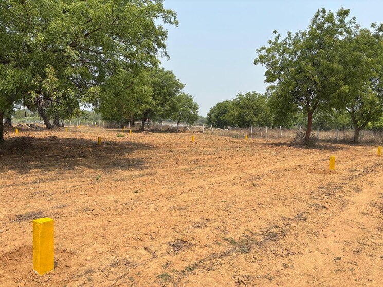 undefined, muthangi  167 Sq.Yd. Plot In Muthangi Hyderabad 8829345