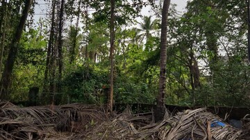  Plot For Sale in Benaulim
