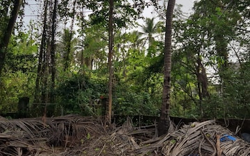 Plot For Sale in Benaulim