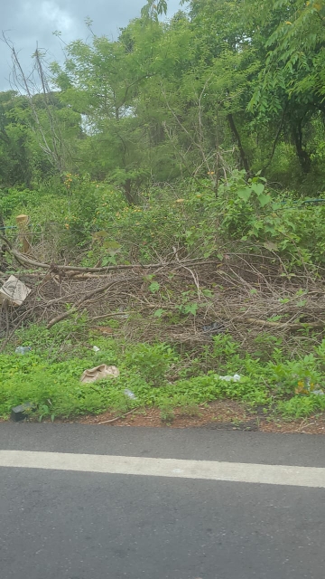 Plot For Sale in Sector 57