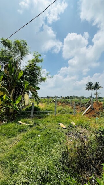  Plot For Sale in Gajapatinagaram
