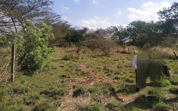Plot For Sale in Gajapatinagaram