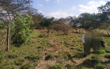 Plot For Sale in Gajapatinagaram