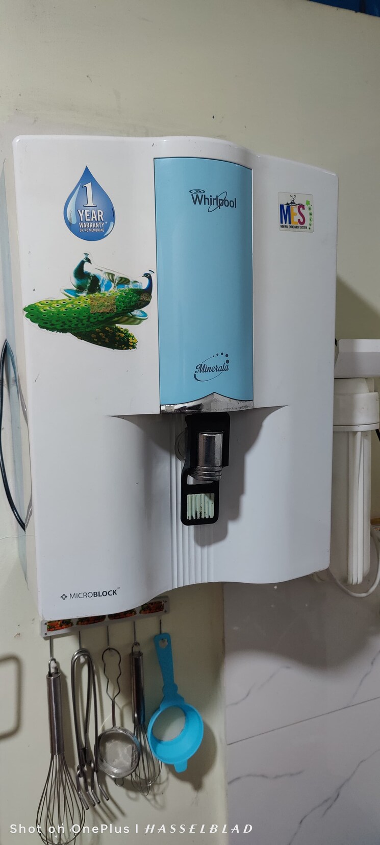 Kitchen, vasundhara sector 1 2 Bedroom 850 Sq.Ft. Builder Floor In Vasundhara Sector 1 Ghaziabad 8829902