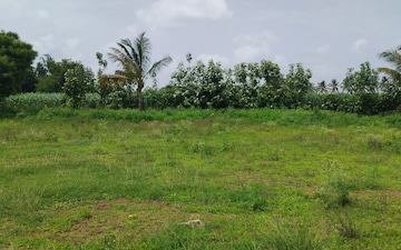 Plot For Sale in Biswaspara