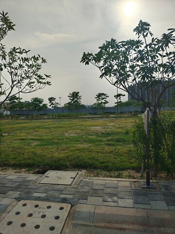  Plot For Sale in Sector 84