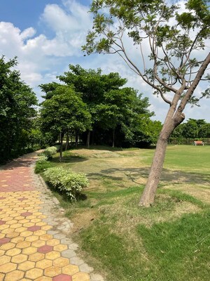 2 BHK Apartment – Garden View at Wave Executive Floors, Wave City - for Sale