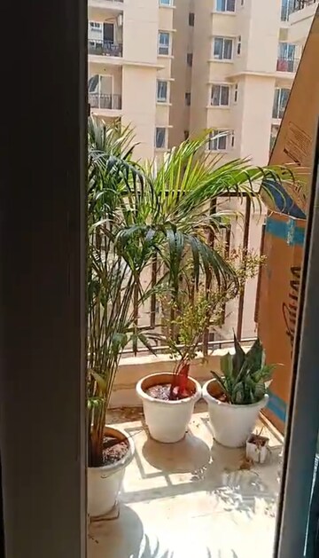 Balcony in 2 BHK Apartment at Signature Orchard Avenue 2, Sector 93 – for Rent