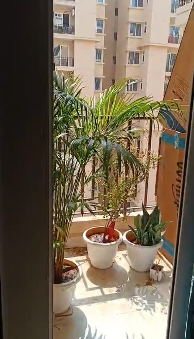 Balcony, signature-orchard-avenue-2 2 Bedroom 680 Sq.Ft. Apartment In Sector 93 Gurgaon 8830566